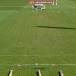 Essex vs Somerset: Lawn-Like Pitch Goes Viral