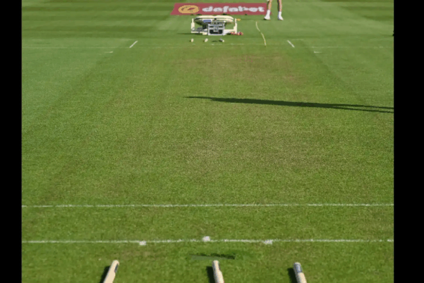Essex vs Somerset: Lawn-Like Pitch Goes Viral